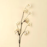 Pear Blossom Branch