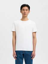 Pima Short Sleeve S26