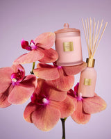 Radiance In Bloom