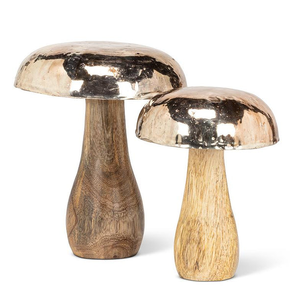 Silver Cap Mushroom