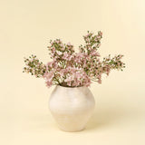 Delphinium Floral Stem
