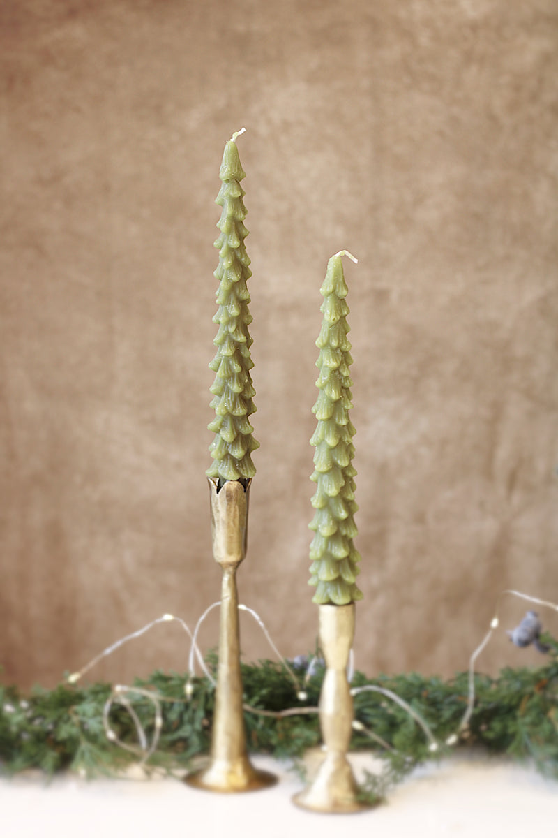Tree Taper-Cedar