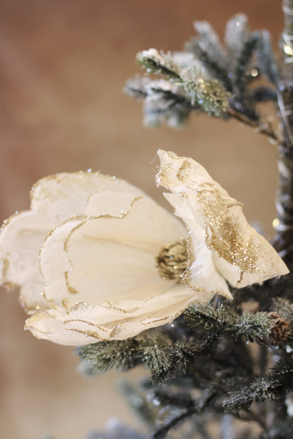 Magnolia Head