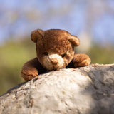 Ranger Bear