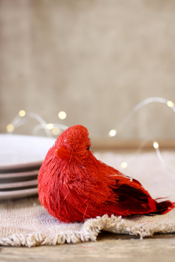 Resting Cardinal Orn