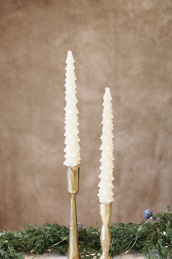 Tree Taper-Eggnog