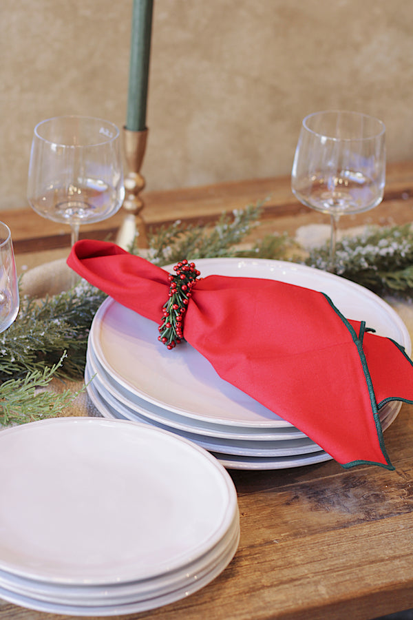 Color Pop Napkin S/4
