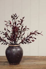 Willow Leaf Spray