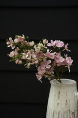 Delphinium Floral Stem