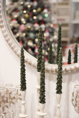 Tree Taper-Evergreen