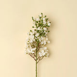 Delphinium Floral Stem