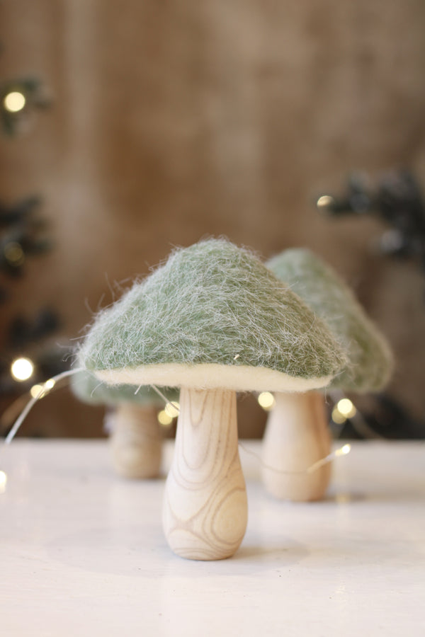 Fluffy Top Mushroom