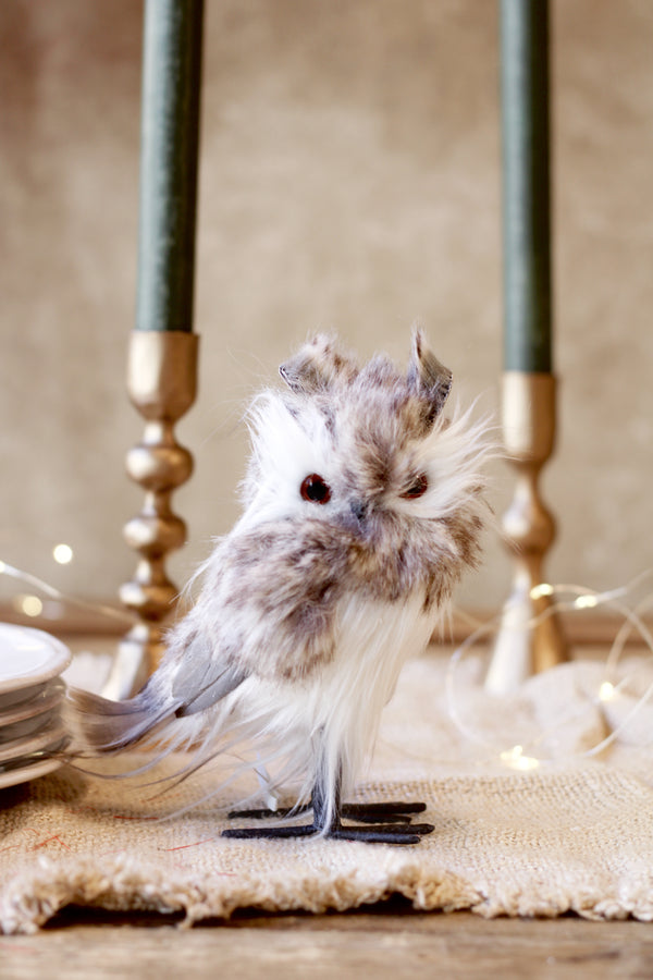 Standing Hooting Owl