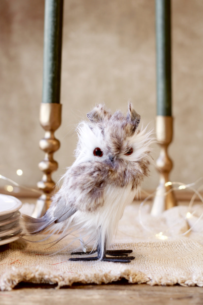 Standing Hooting Owl