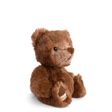 Baby Ranger Bear