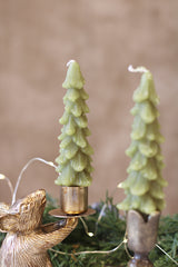Tree Taper-Cedar