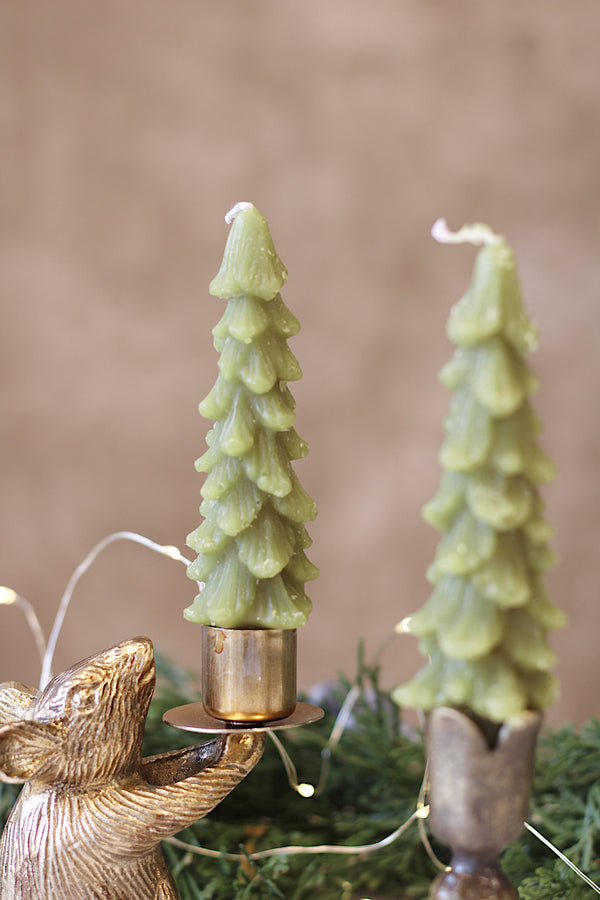 Tree Taper-Cedar