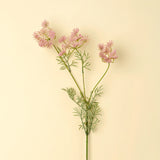 Queen Anne's Lace Spray