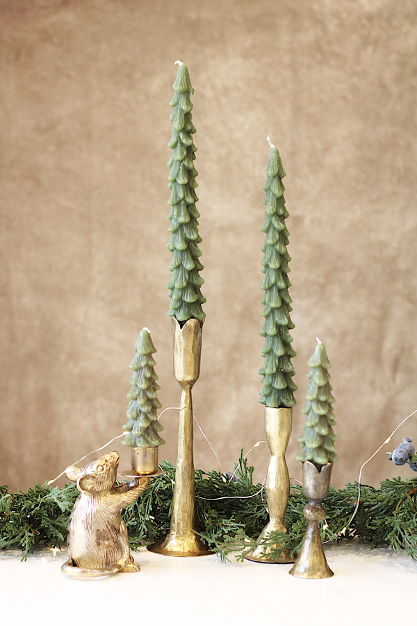 Tree Taper-Evergreen