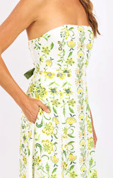Dandelion Dreams Tube Maxi Dress