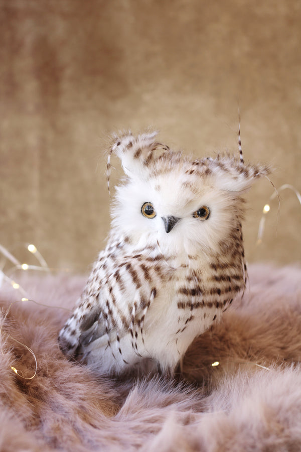 Striped Owl-Standing