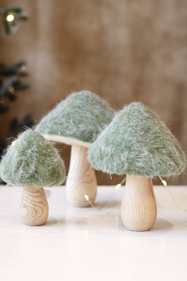 Fluffy Top Mushroom