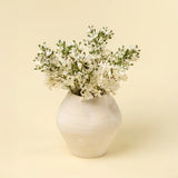 Delphinium Floral Stem
