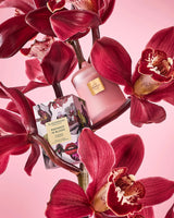 Radiance In Bloom