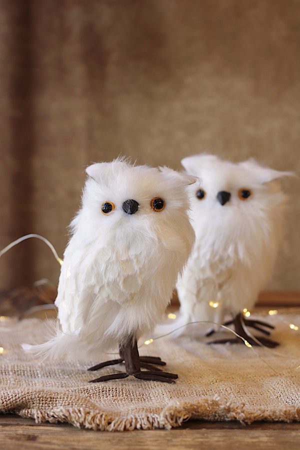 Fluffy Scalloped Owl