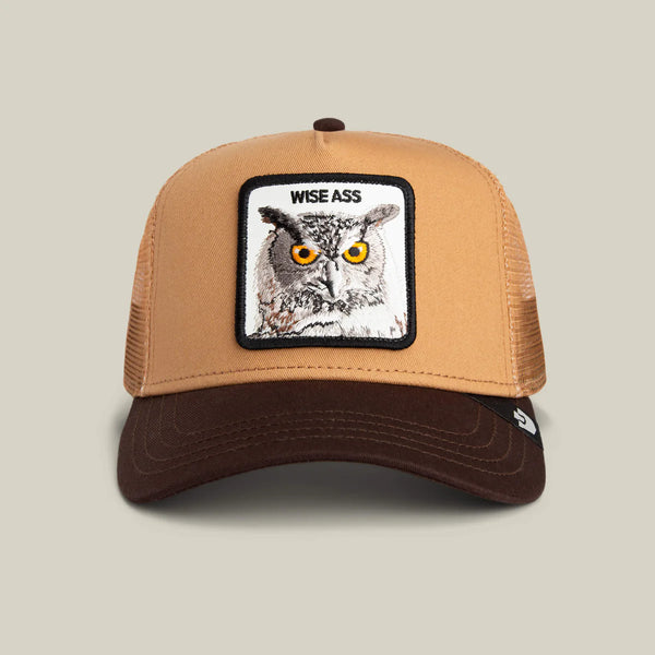 Wise Ass Hat-Gold