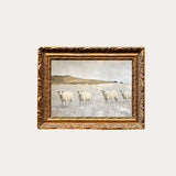 Muted Sheep Art 8X10