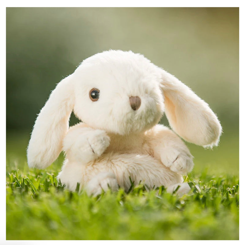 Kanini Bunny-White