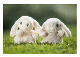 Kanini Bunny-White