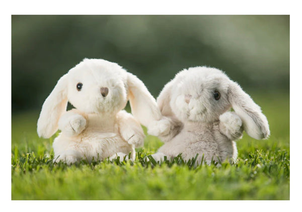 Kanini Bunny-White