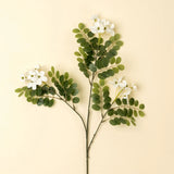 Locust Flower Branch