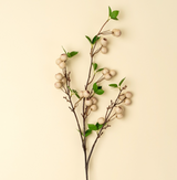 Wild Apple Berry Spray