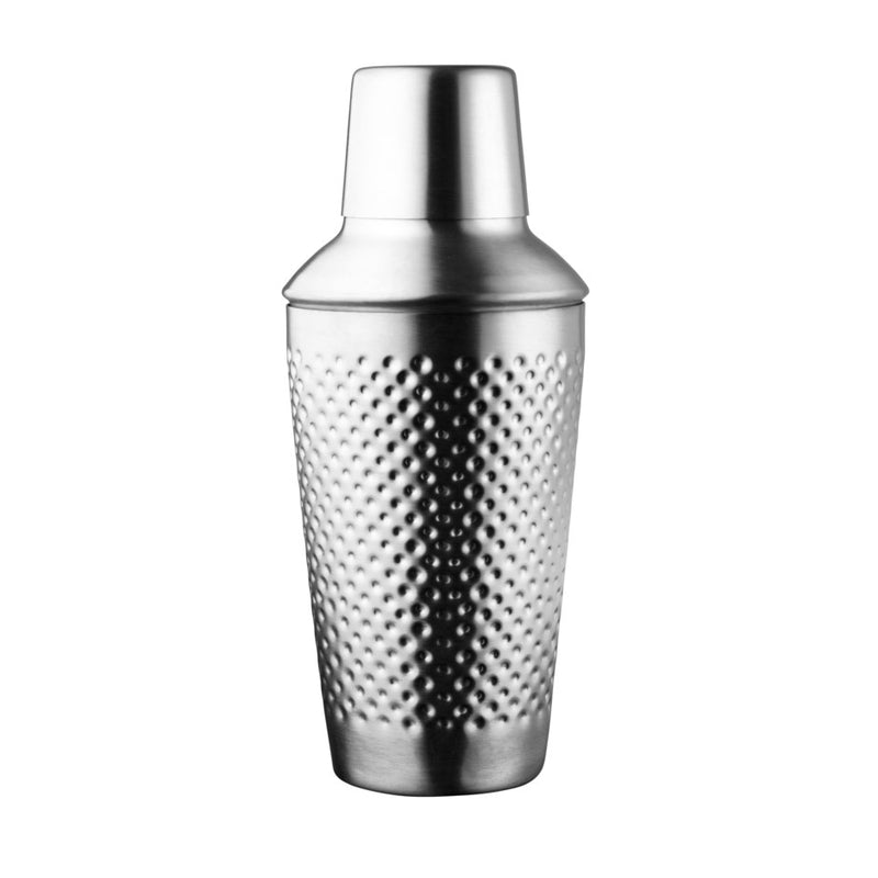 Stainless Cocktail Shaker