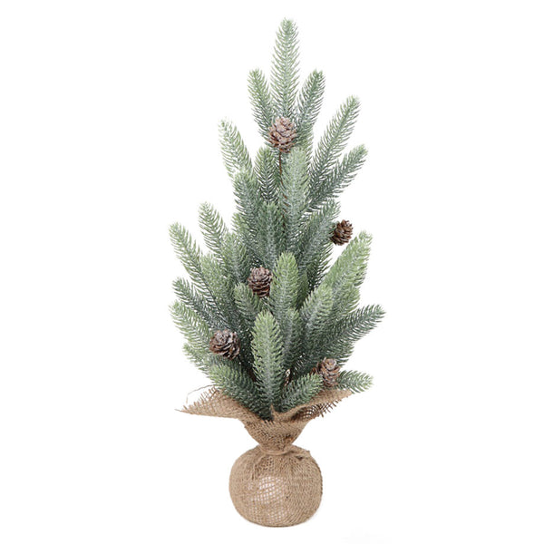 Tree In Burlap