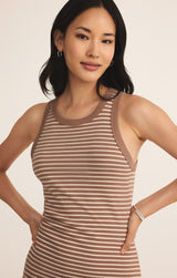 Goodwin Stripe Mini Dress