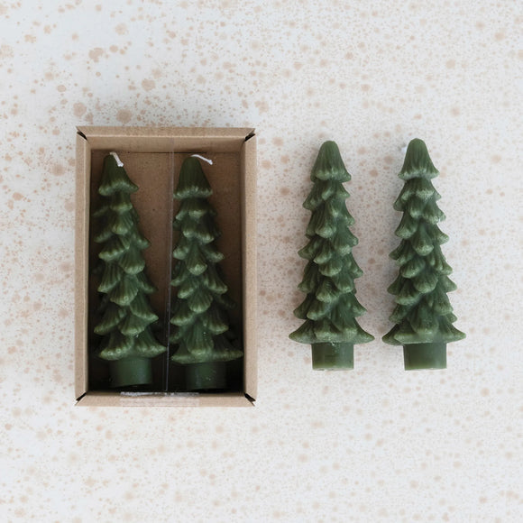 Tree Taper-Evergreen