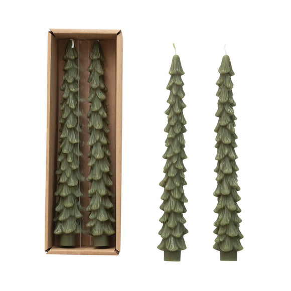 Tree Taper-Evergreen