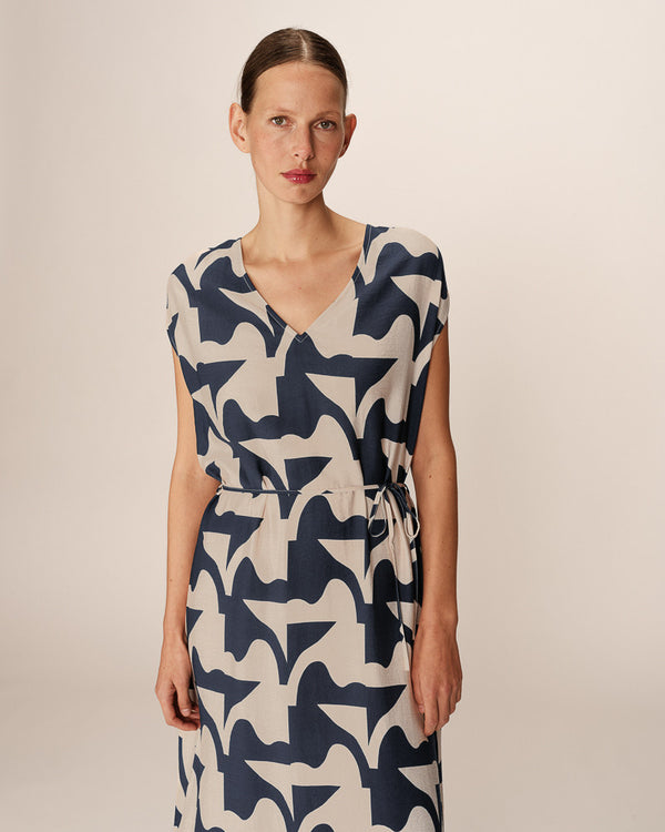 Pensee Print Dress