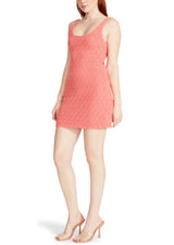 Nookie Dress